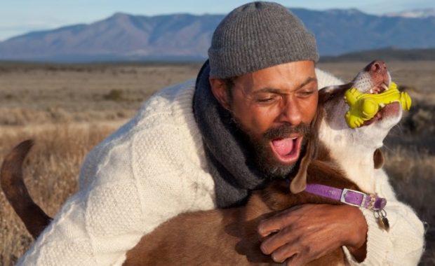 Emergency Veterinarian Jobs