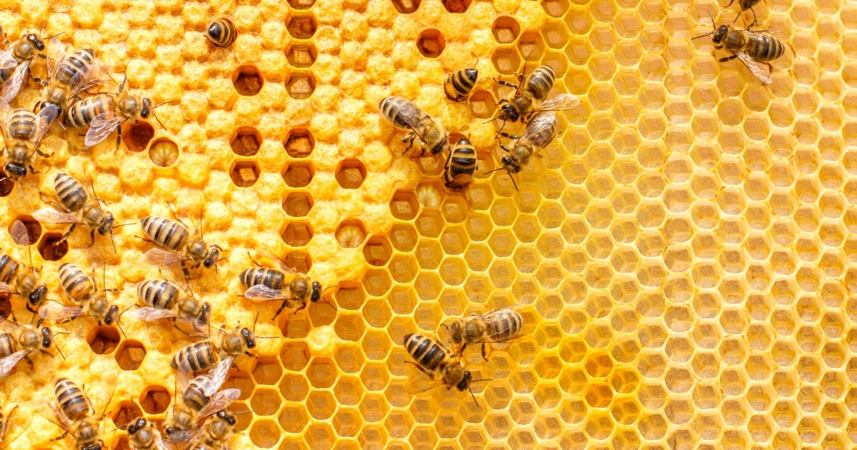 One-to-Many Outreach