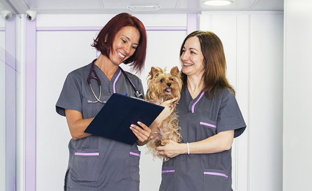 Veterinary Jobs - Vet Jobs - Veterinarian Jobs - DVM Jobs - Veterinary Surgeon Jobs - Veterinary Nurse Jobs - Vet Nurse Jobs - Veterinary Technician Jobs - Vet Tech Jobs - Veterinary Medicine Jobs - Veterinary Surgery Jobs - Vet Life