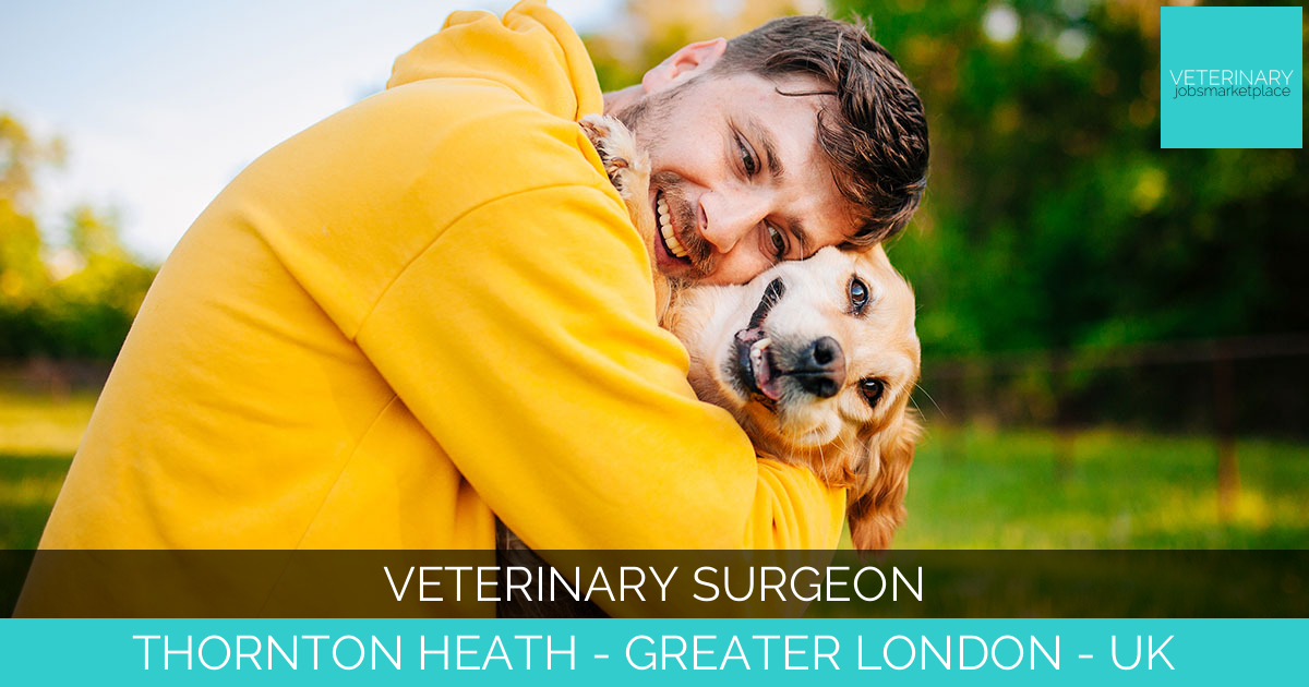 Veterinary Surgeon