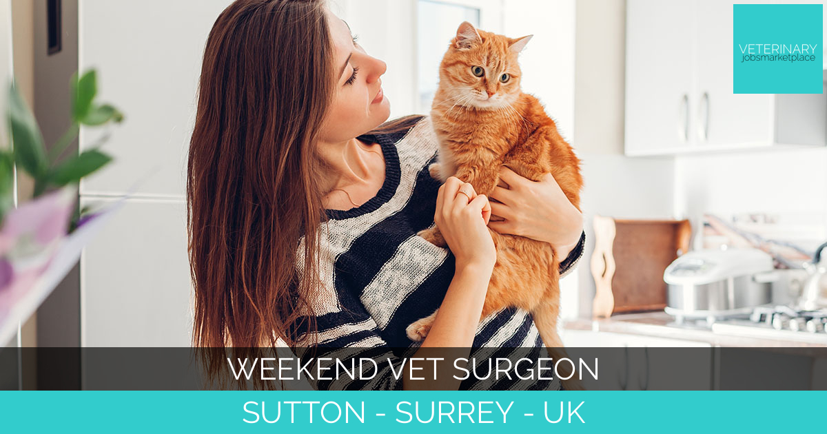 Weekend Vet Surgeon