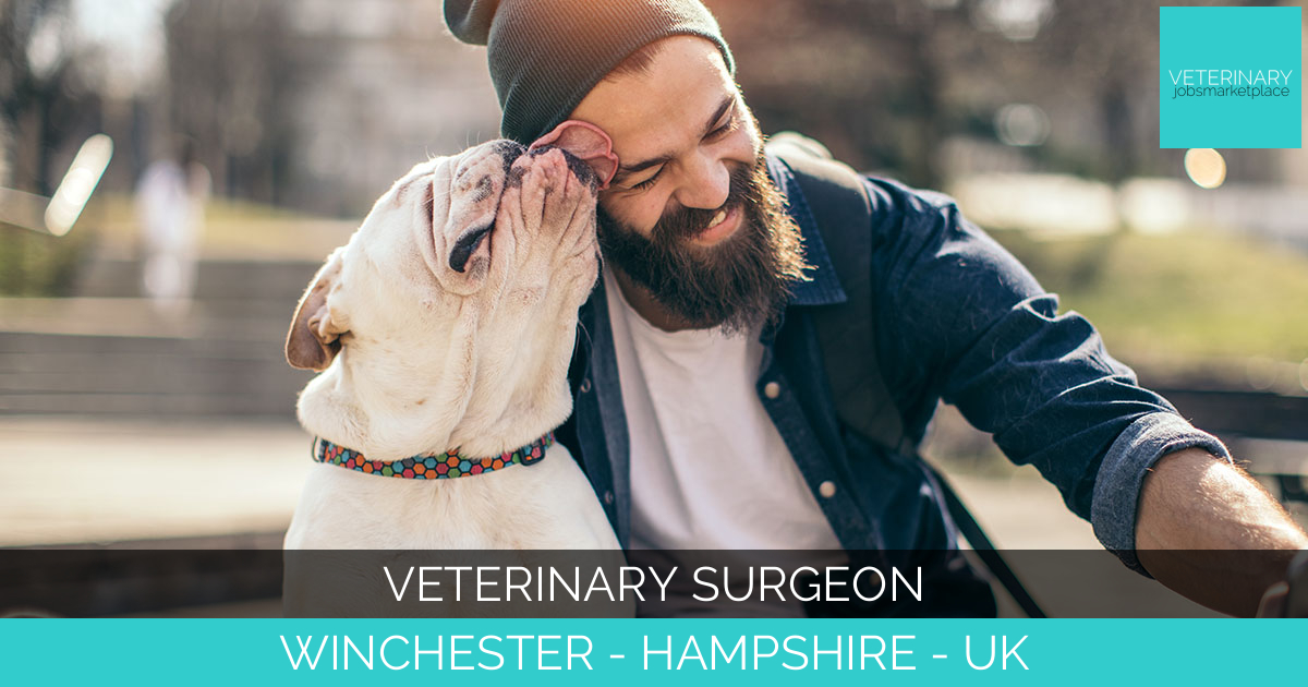 Veterinary Surgeon – Weekend