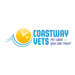Veterinary Surgeon