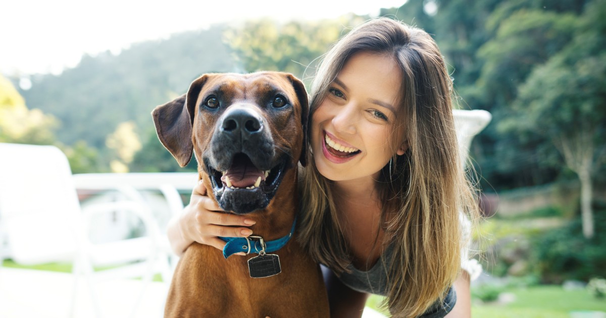 Veterinary Surgeon Jobs & Veterinary Nurse Jobs Veterinary Jobs