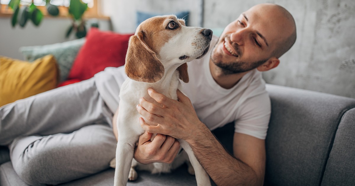 Veterinary Surgeon Salary Survey UK JANUARY 2024 Veterinary Jobs Marketplace