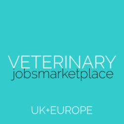 Veterinary Jobs Marketplace Hospital
