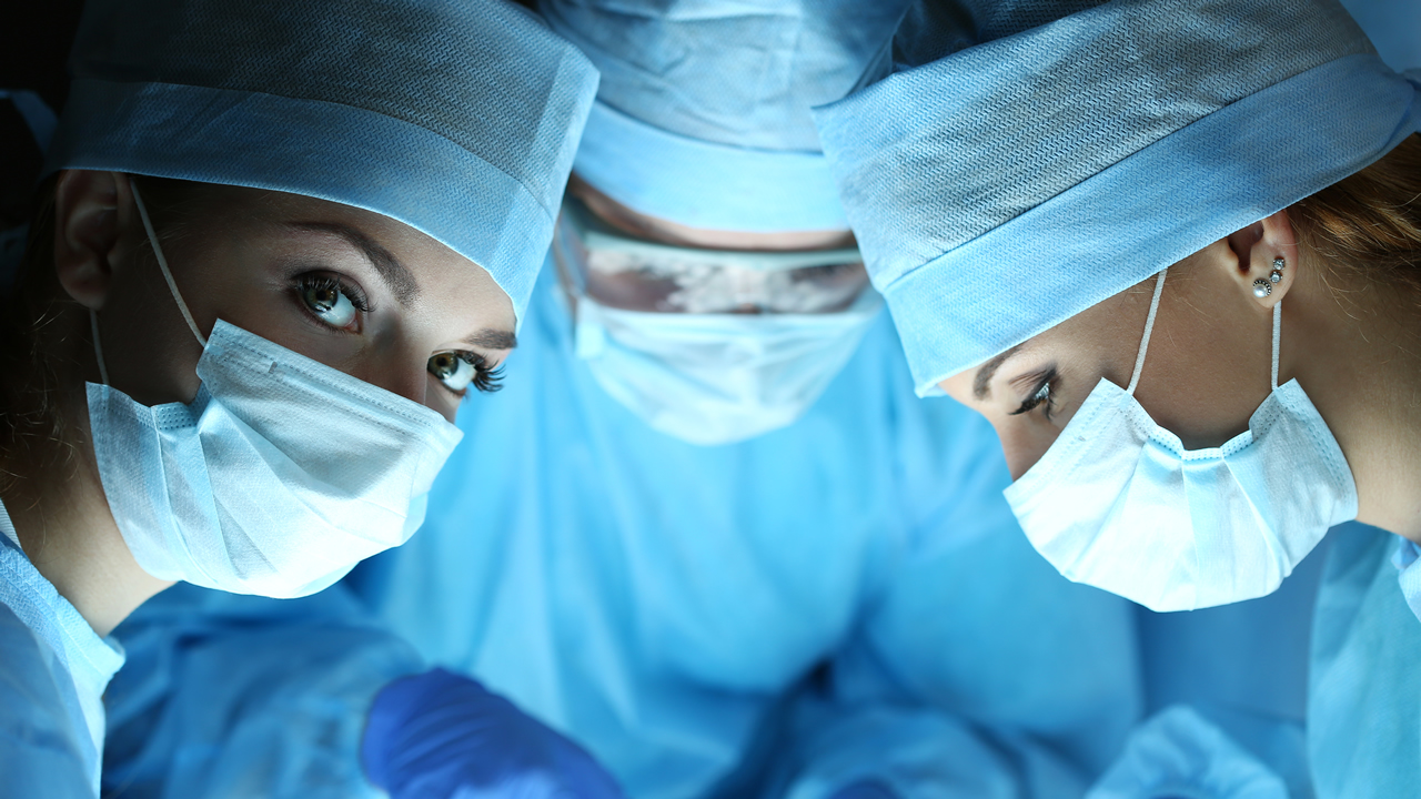 Hiring Your Next Veterinarian – Experienced Vet Or Fresh Graduate