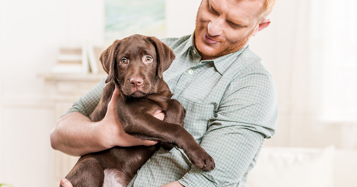 Veterinary Jobs News & Views 14 April 2023 Veterinary Jobs Marketplace