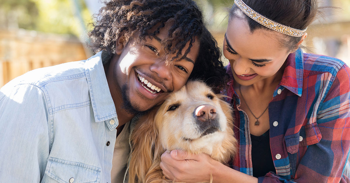 Veterinary Jobs News & Views 31 March 2023 Veterinary Jobs Marketplace